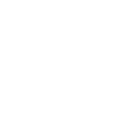Orion Digitale Logo Beyaz