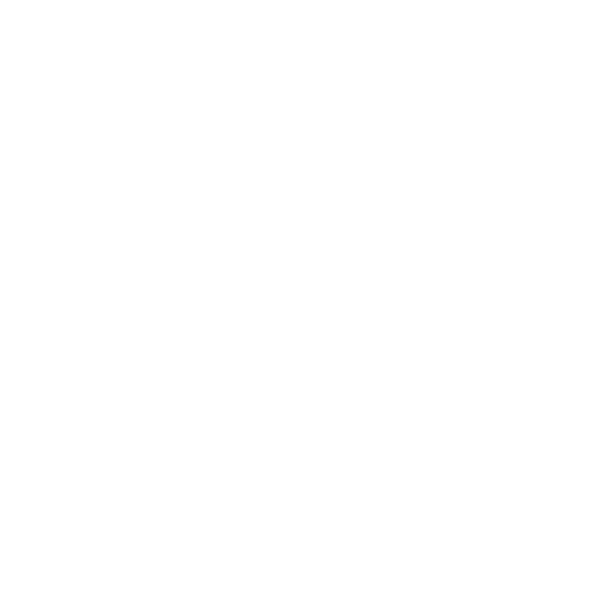 Orion Digitale Logo Beyaz